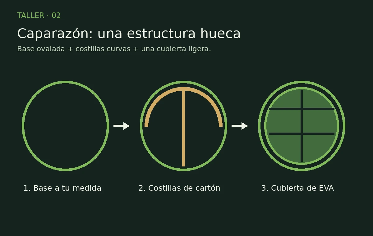 Base, costillas y cubierta del caparazón